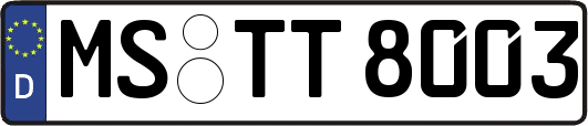 MS-TT8003