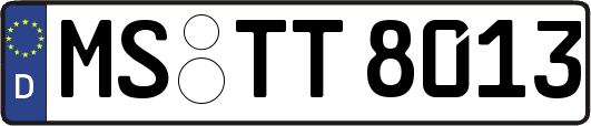 MS-TT8013