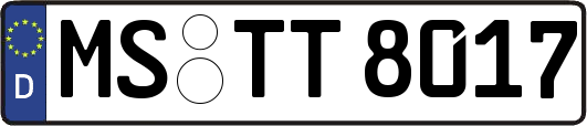 MS-TT8017