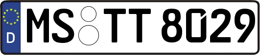 MS-TT8029