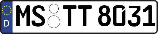 MS-TT8031