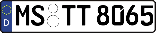 MS-TT8065