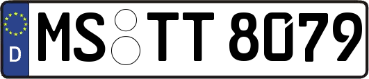 MS-TT8079