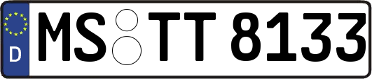 MS-TT8133