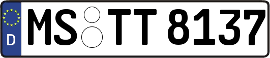 MS-TT8137