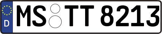 MS-TT8213