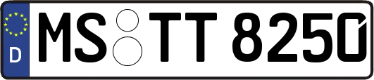 MS-TT8250