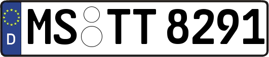 MS-TT8291