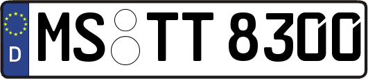 MS-TT8300