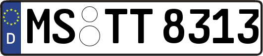 MS-TT8313