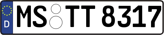 MS-TT8317