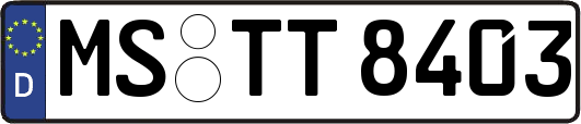 MS-TT8403