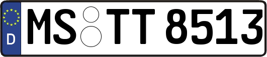 MS-TT8513