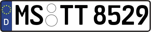 MS-TT8529