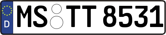MS-TT8531