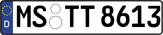 MS-TT8613