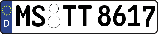 MS-TT8617