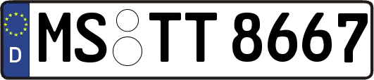 MS-TT8667
