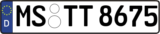 MS-TT8675