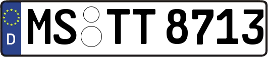 MS-TT8713
