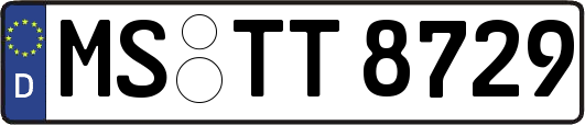 MS-TT8729