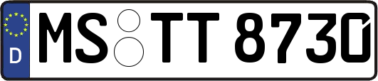 MS-TT8730
