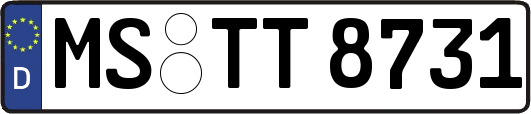 MS-TT8731