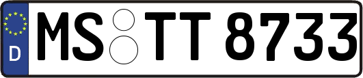 MS-TT8733