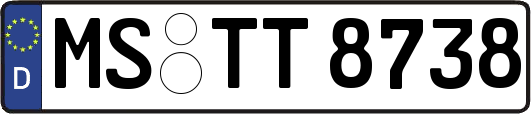 MS-TT8738