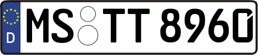MS-TT8960