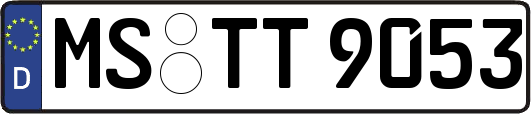 MS-TT9053