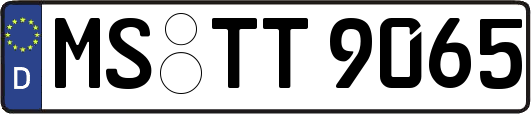 MS-TT9065