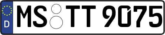 MS-TT9075