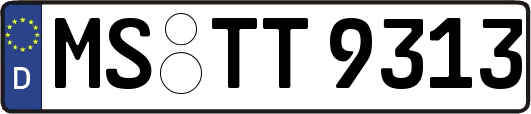MS-TT9313