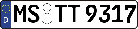 MS-TT9317