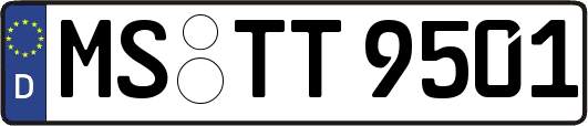 MS-TT9501