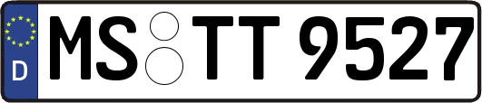 MS-TT9527