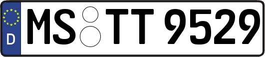MS-TT9529