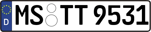 MS-TT9531