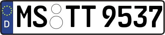 MS-TT9537