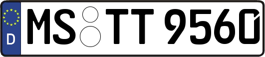 MS-TT9560