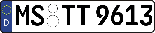 MS-TT9613
