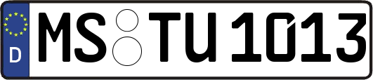MS-TU1013