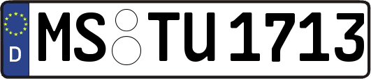 MS-TU1713
