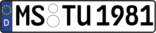 MS-TU1981