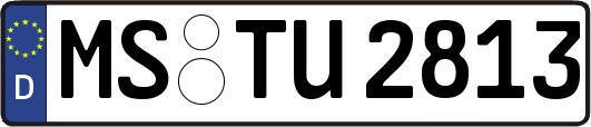 MS-TU2813