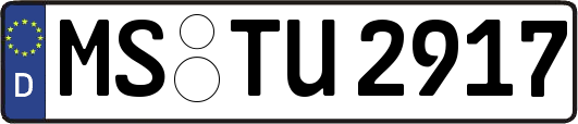 MS-TU2917