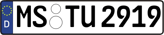 MS-TU2919