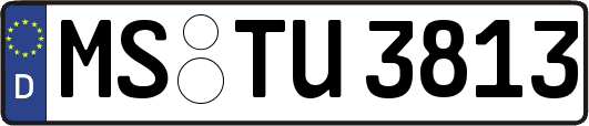MS-TU3813