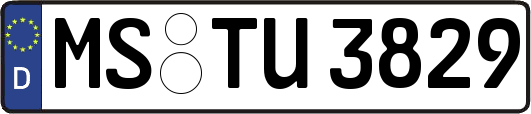 MS-TU3829